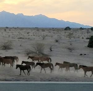 Meet your Posher, Linda